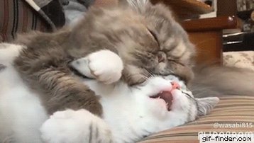 @ThePerfectBimbo Okay Love. I am bored a little myself 😉 Hope u get ur spirits up. Hold u tight 😘 https://t<a class="tags" target="_blank" title="On Twitter" href="/?out=eyJ0eXAiOiJKV1QiLCJhbGciOiJIUzUxMiJ9.eyJpYXQiOjE3MjE1OTk2ODQsImlzcyI6InR3cG9ybnN0YXJzLmNvbSIsIm5iZiI6MTcyMTU5OTY4NCwiZXhwIjoxNzUzMTM1Njg0LCJyZWRpcmVjdF91cmwiOiJodHRwczovL3R3aXR0ZXIuY29tL1RoZVBlcmZlY3RCaW1ibyJ9.FbaiA7Zi6no3ahE8KWG3DaMwJKA8rBkWBxMZiyIE-28VVVaXeyzvDS7_Wa1Cgic78CNek7Q0Tt8RYIaIKStXIQ">@ThePerfectBimbo</a><a href="/tag/hentai"class="tags"><span>#hentai</span></a><a href="/tag/futa"class="tags"><span>#futa</span></a><a href="/tag/futaonmale"class="tags"><span>#futaonmale</span></a>