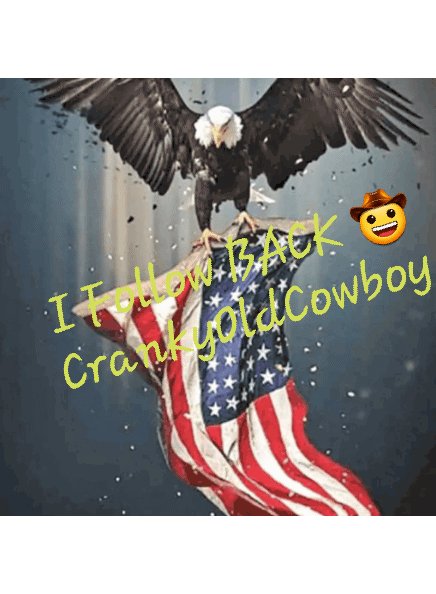ThanQ @sbnauman μολὼν λαβέ,/molṑn labé,
🚨🙏🦅🤠ATTENTION 🤠🦅🙏🚨
The protectors of the FLOCK.. I AM A SHEEPDOG!!! FOLLOW & RETWEET PLEASE🤠🤠🤠
#IgotYourSix #ShotGunRider #BattleBuddiesNeverAbandoned