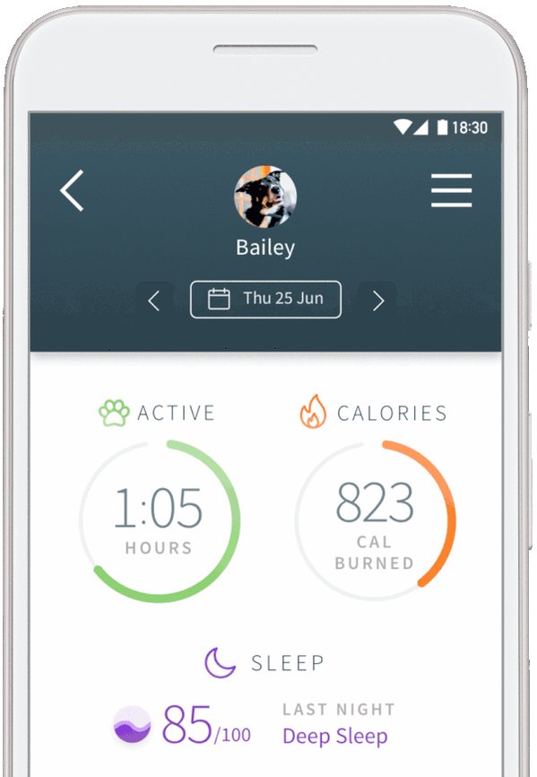 Animo @SurePetcare The lifelong activity tracker & behaviour monitor for #dogs is
⢠Waterproof
⢠Has a 6 month battery life
⢠Lightweight only 22g
⢠Small and comfortable 37mm diameter
⢠Fits to collar
⢠1 year warranty
http://bit.ly/2OzMZfGĀ