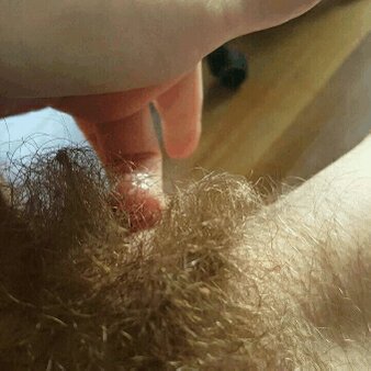 “#hairy #hairypussy #cum #bush #unshaven #nsfw https://t.co/6ISsNcfrDr” .