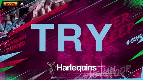 Harlequins