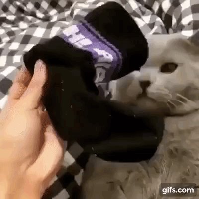 Chiro 靴下の匂いを嗅いで気絶 Chiro 靴下の匂いを嗅いで気絶