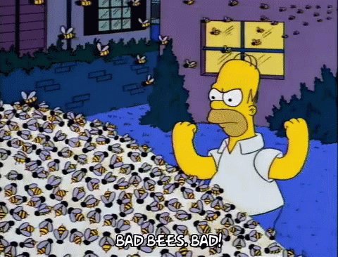 MotorSport Assault (@MtrSprt_Assault) on Twitter photo 2019-05-05 15:38:46 At @Mid_Ohio , crazy...it sounds like there are huge swarms of bees but I have yet to see any. On another note, they just announced the Porsche GT3 Cup race has begun! At @Mid_Ohio , crazy...it sounds like there are huge swarms of bees but I have yet to see any. On another note, they just announced the Porsche GT3 Cup race has begun!