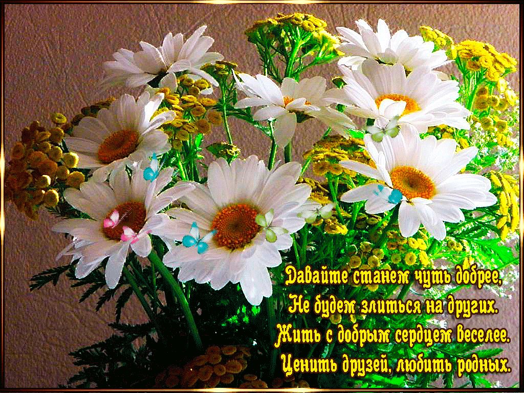 Картинка желаю хорошего настроения с цветами