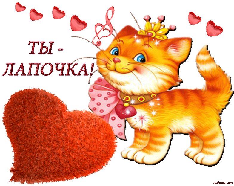 Открытки, картинки с надписью ты красотулька
