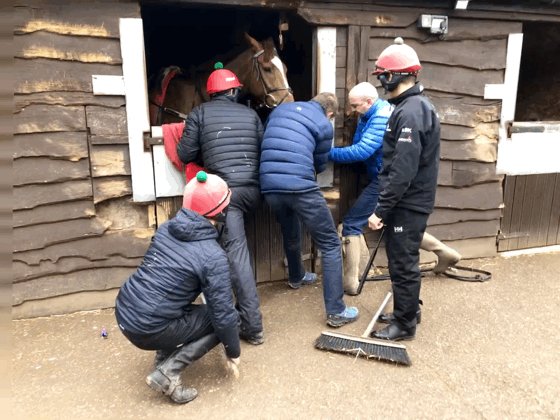 1/2 When the chaps teamed up to try open the jammed stable door #Brawn