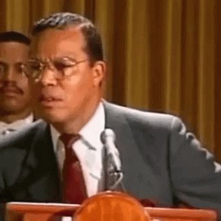   HAPPY 86TH BIRTHDAY TO HONORABLE MINISTER LOUIS FARRAKHAN!   