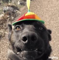 Marieke's photo on #temptationisland