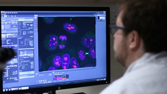 Why study stem cells? 🔬
@OxfordMedSci DPhil student David describes his haematology research, with the aim of curing diseases like leukaemia:
https://www.youtube.com/watch?v=5jSJ4sYYySM …
