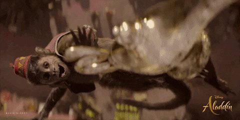 アラジン 実写映画のアブーがかわいい モデルになった猿についても 花凛雑記 アラジン 実写映画のアブーがかわいい モデルになった猿についても 花凛雑記