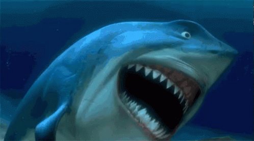 You saved a catfish from drowning...in the water? Not a shark do do do do do. #babyshark #notashark