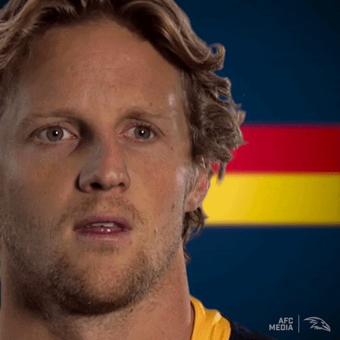 Adelaide Crows's photo on #weflyasone