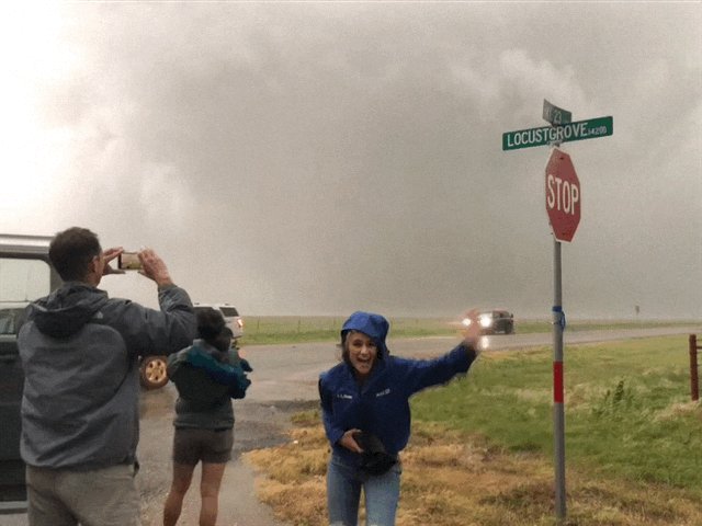 Amanda Holly Wflaamanda Twitter