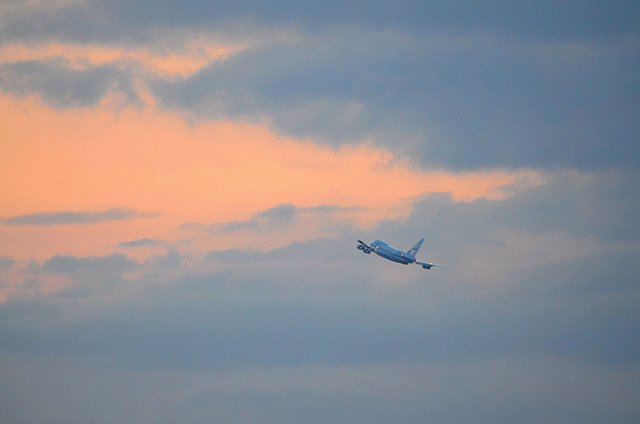 SOFIAtelescope (@SOFIAtelescope) on Twitter photo 2019-05-30 04:58:19 We’re on our way to Christchurch, New Zealand! We’re scheduled to land 11:24 am local time (subject to change). Follow our flight south with tail number N747NA. go.nasa.gov/2wcG3MV We’re on our way to Christchurch, New Zealand! We’re scheduled to land 11:24 am local time (subject to change). Follow our flight south with tail number N747NA. go.nasa.gov/2wcG3MV