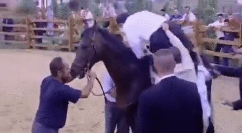 (السقوط المدوّي نتيجة حتمية لمن تملأهم الثقة المفرطة بقدراتهم رغم عدم وجود إمكانات على أرض الواقع تبرر هذه الثقة)وهذا المقطع الطريف لأردوغان -رغم بعد محتواه عن السياسة-إلّا أنه يعبر عمّا بين القوسين ..وكأن امتطاؤه للحصان تصريحاته..وسقوطه منه نتائجها!