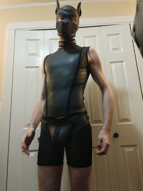 Since y&rsquo;all liked my last post so much thought I&rsquo;d share this gif 🐾😈🐾 https://t.co/JxpWz7ATm5