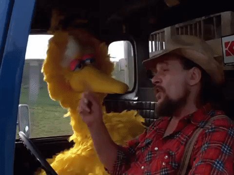 Happy birthday to music legend and Littlefield, TX native Waylon Jennings, seen here giving his pal Big Bird a lift 