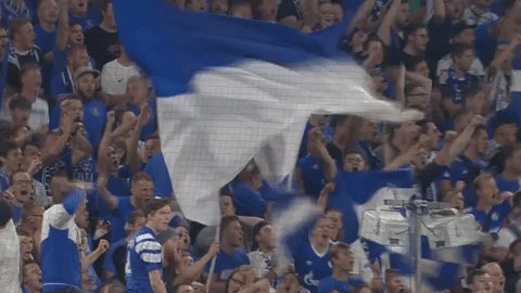 @s04's photo on #3wortenachdemwochenende
