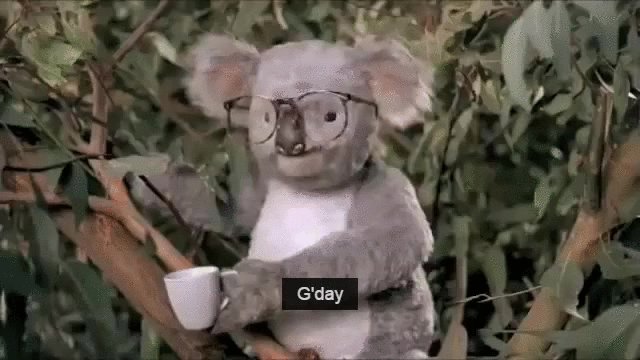 G'day! As much as we appreciate the shout-out, we think you meant @ABC?