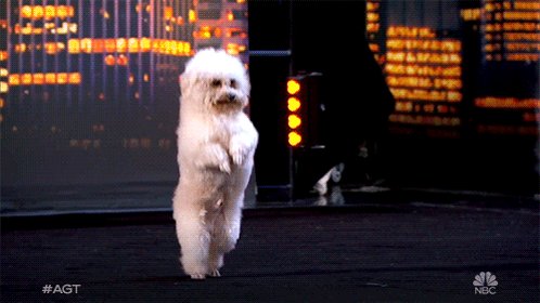 Gabrielle Union (@itsgabrielleu) on Twitter photo 2019-06-19 01:34:52 .@DwyaneWade do you think we could teach Hurley how to do this? πππ#agt .@DwyaneWade do you think we could teach Hurley how to do this? πππ#agt
