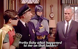 @rriverstone's photo on Adam West
