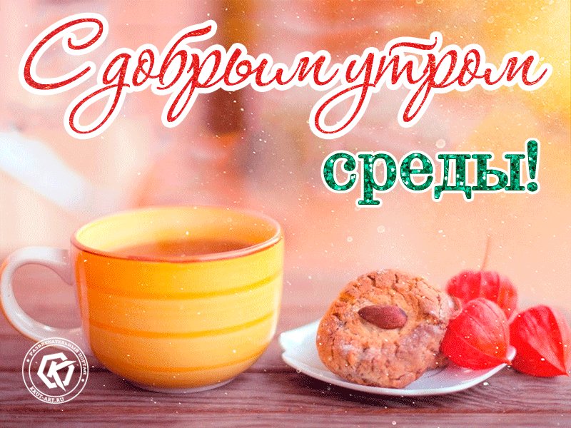 Открытки среда гифки, воробушек для детей