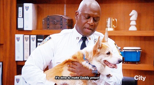 b99 (@DailyBrooklyn99) on Twitter photo 21/06/2019 15:15:57 we know who takes #BringYourDogToWorkDay to a whole new level we know who takes #BringYourDogToWorkDay to a whole new level
