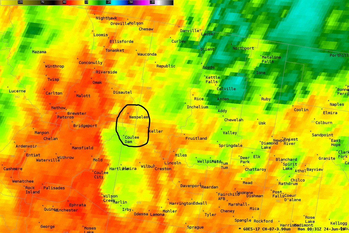 Loop of GOES17 satellite data showing a fire (in the black circled