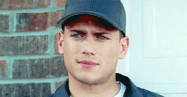 Happy birthday to wentworth miller 
