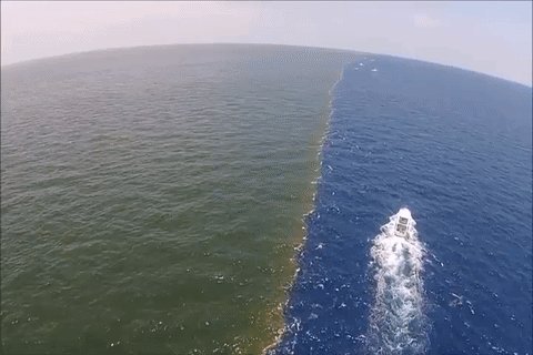 The place where two Oceans meet in the Gulf of Alaska. Nature is amazing!
#Ocean #naturelovers