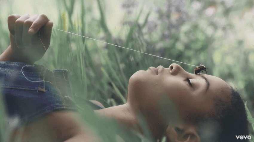 🌱 #ELEMENT