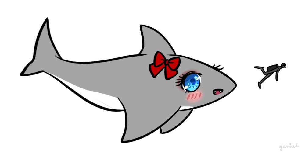 Котик в костюме акулы рисунок для срисовки