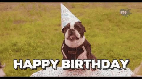  happy birthday sonny jay I hope you have a splendid and marvellous day 