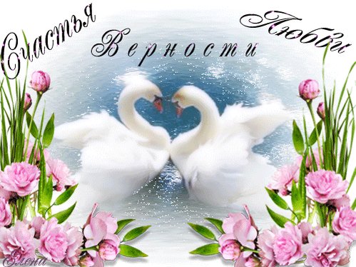 лебеди гифки счастья вашей семье сложно поддается