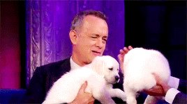 Happy birthday Tom Hanks 