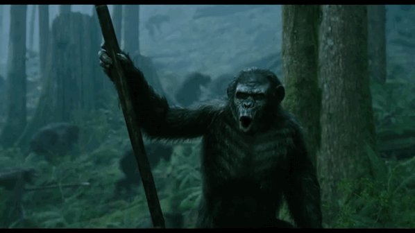 Happy Birthday to Toby Kebbell (Koba) Dawn of the Planet of the Apes 