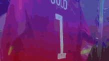 Happy Birthday Hope Solo! Best goal keep in the world! 