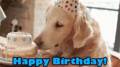 Happy Birthday 