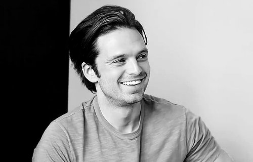 Happy birthday sebastian stan  