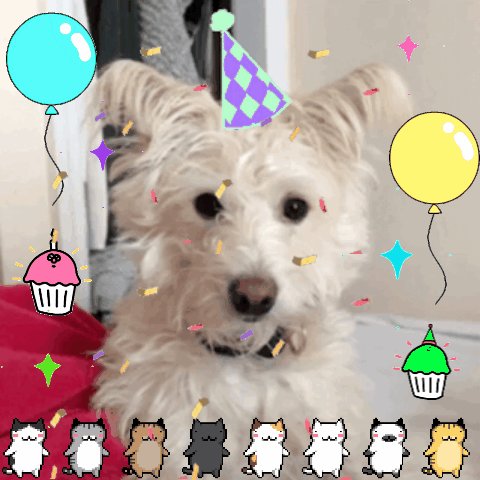 Happy happy birthday ! 