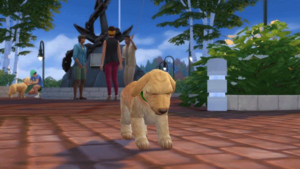 Cockapoo sales sims 4
