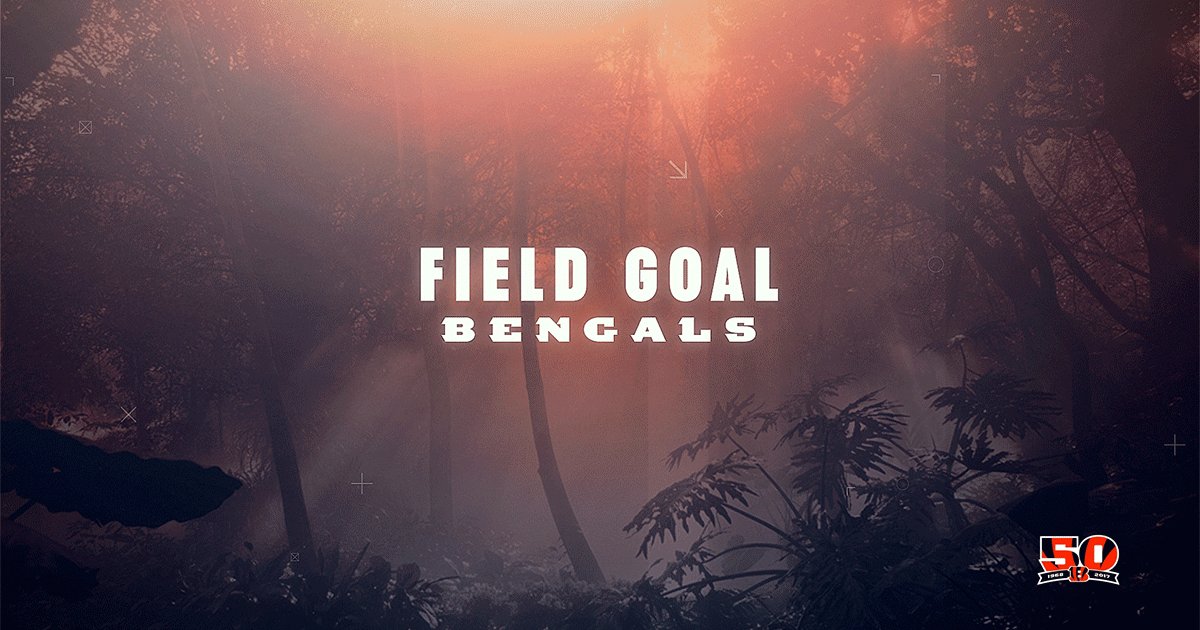 Bullock's 53 yd FG is GOOD!  CIN 17 WAS 13 #CINvsWAS https://t.co/CydXJuNKQf