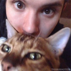 Ryan ROSS HAPPY BIRTHDAY 