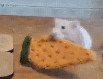 Похищение морковки