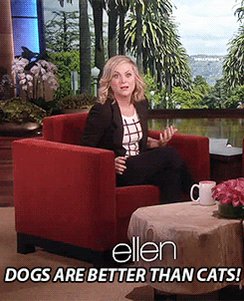 Happy Birthday to the smartest and most precious woman alive, Amy Poehler!  