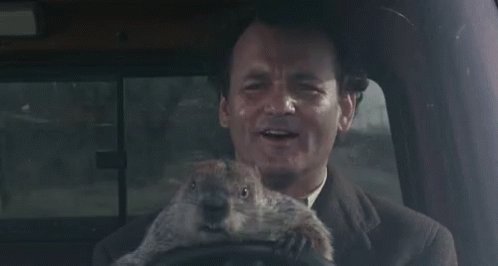 Happy Birthday, Bill Murray! We hope your day is even better than Groundhog Day. 