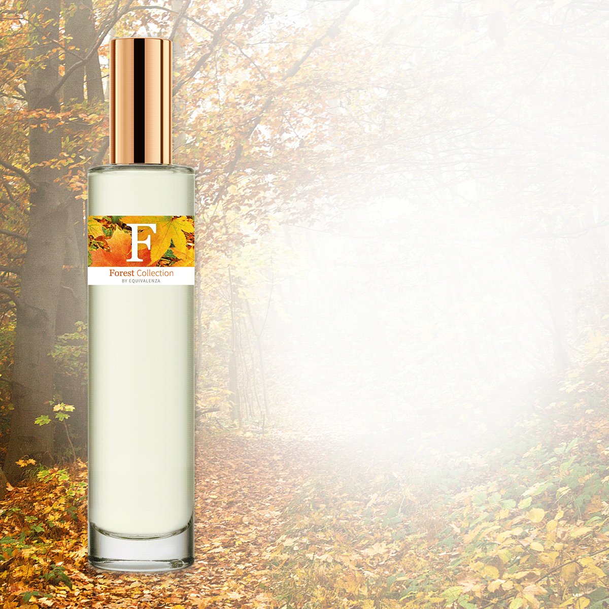 perfume si equivalenza