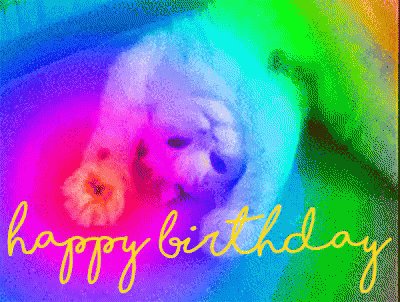 Happy Birthday Lil Wayne, Gwyneth Paltrow, Meat Loaf, Google & Me! 