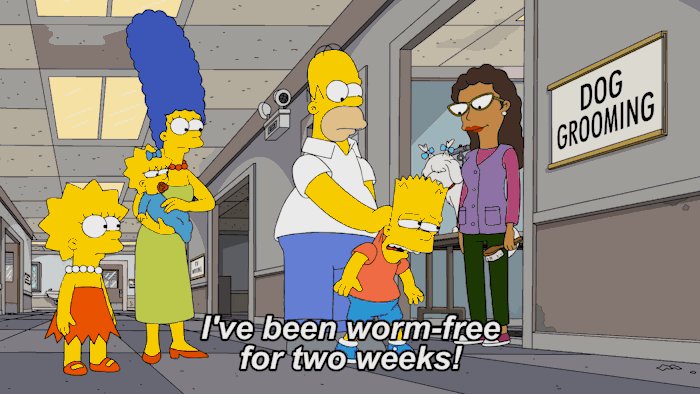 TheSimpsons s video Tweet