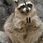 Photo by Jeanabella (@Jeanabella)